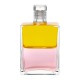 Equilibrium B22 Yellow over Pink